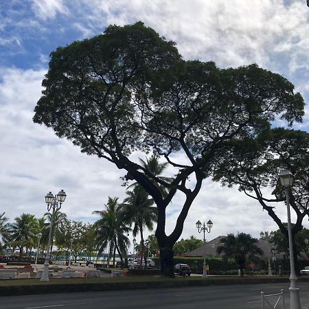 Magnifique F3 Tout Equipe Lejlighed Papeete  Eksteriør billede